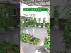 أبراج زراعة البتلات المائية للحديقة الداخلية