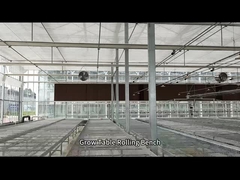 شبكة سلكية الدفيئة تنمو الجدول المتداول للبذر
