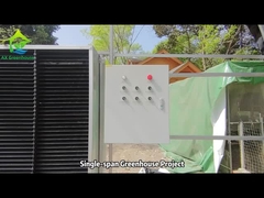 مشروع دفيئة AX Greenhouse ذو رأس واحد مدبب بالخوخ