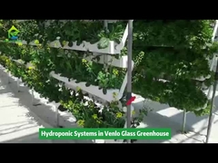 معدات الري للزراعة المائية العمودية في Venlo Greenhouse