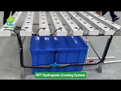 نظام الأنابيب المربعة للزراعة بدون تربة للزراعة العمودية المائية NFT