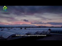 الدفيئة الزراعية الكبيرة ذات الأفلام المتعددة