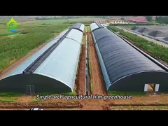 صوبة أفلام مقوسة مع شبكة تظليل