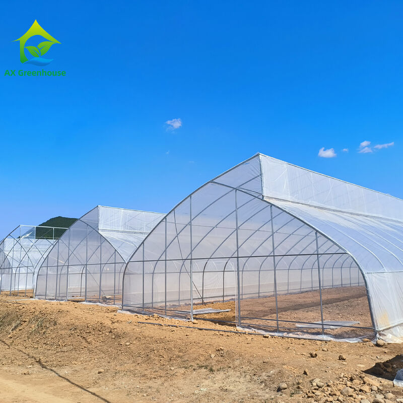 أنفاق الدفيئة ذات الأسنان المقطعة ذات الفترة الواحدة المصممة من الفيلم البلاستيكي الاستوائي مخصصة لزراعة الخضروات