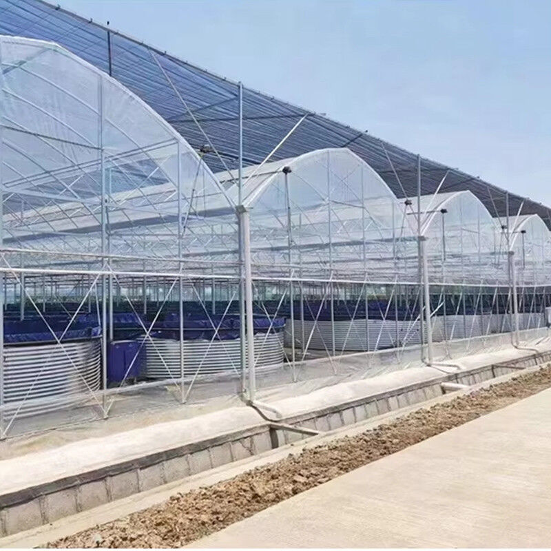 دفيئة متعددة الأبعاد من البولي إيثيلين متينة، فولاذية شديدة التحمل، مقاومة للرياح والثلوج، للمزارع والمشاتل التجارية