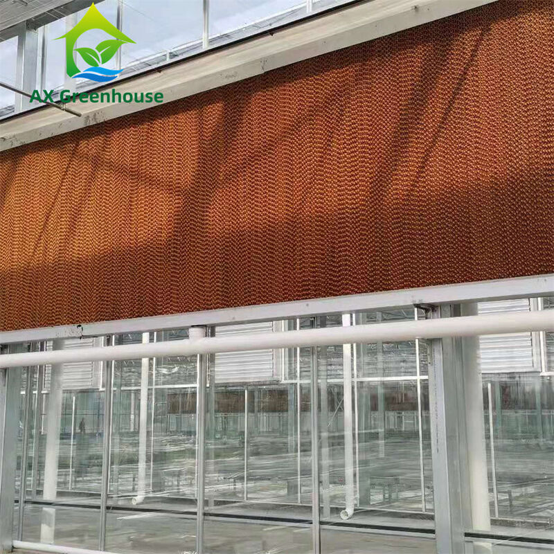 دفيئة زجاجية تجارية متعددة الفترات مع إطار فولاذي معدني ساخن وتصميم سقف مثلث