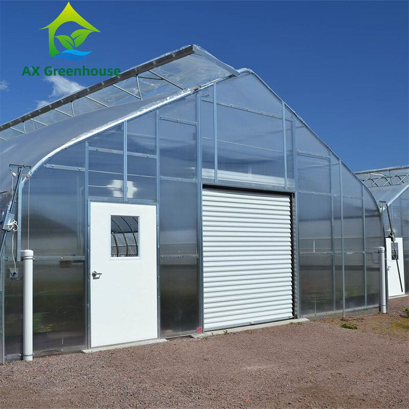 الدفيئة متعددة الجدران البوليكربوناتية متعددة الجدران مثالية للخضروات الشتلات الزهور الزراعة في الفناء الخلفي