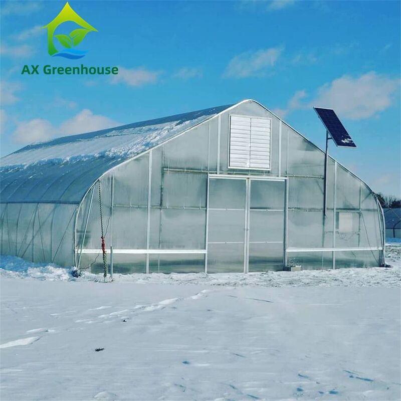 الدفيئة متعددة الجدران البوليكربوناتية متعددة الجدران مثالية للخضروات الشتلات الزهور الزراعة في الفناء الخلفي