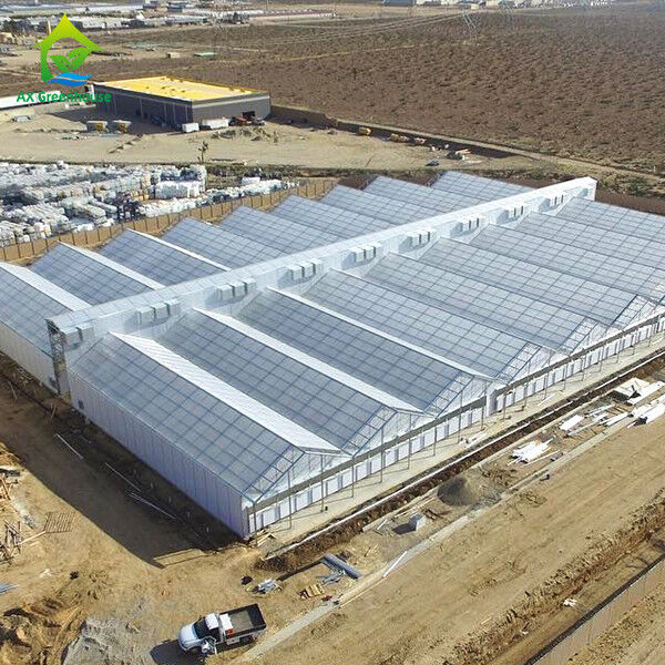 دفيئة تجارية ذاتية التحكم في الضوء مع إغلاق داخلي 32m-50m الطول و 8m-12.6m عرض العرض